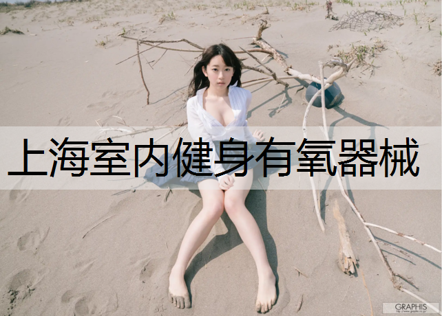 <strong>上海室内健身有氧器械</strong>