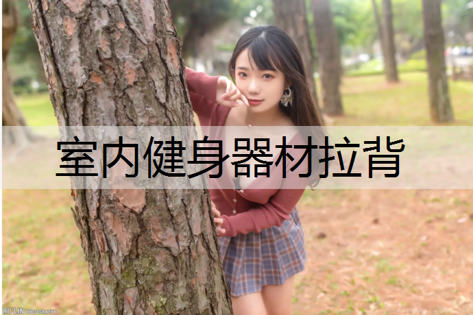 室内健身器材拉背