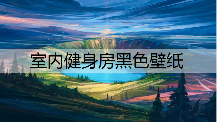 <strong>室内健身房黑色壁纸</strong>