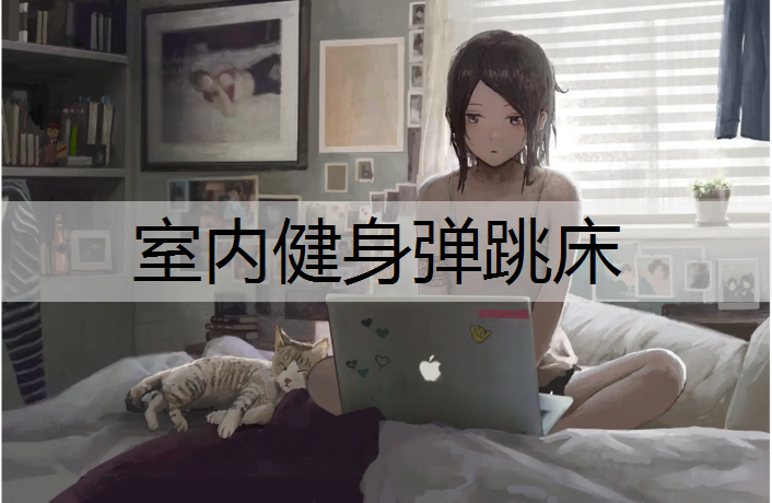 室内健身弹跳床