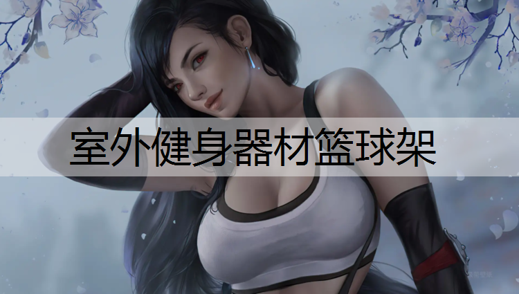 室外健身器材篮球架