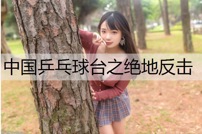 中国乒乓球台之绝地反击