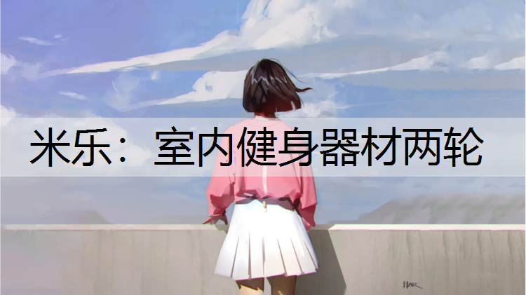 室内健身器材两轮