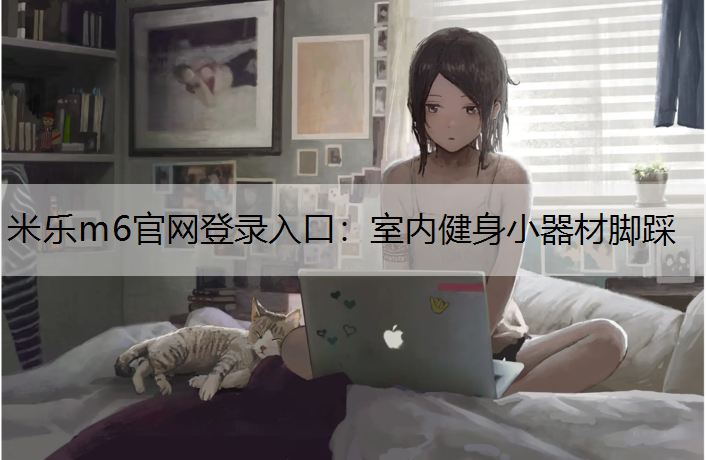 室内健身小器材脚踩