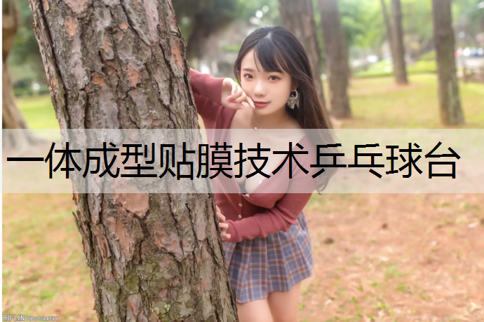 一体成型贴膜技术乒乓球台
