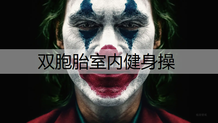 双胞胎室内健身操